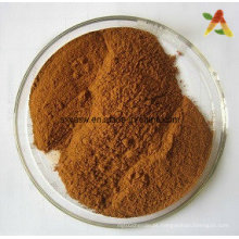 Natural de ácido valérico extracto de raiz de valeriana em pó
